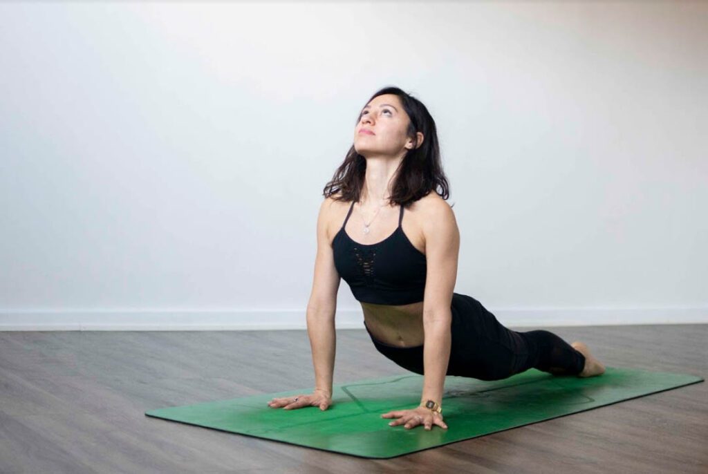 Upward Facing Dog (Urdhva Mukha Svanasana)