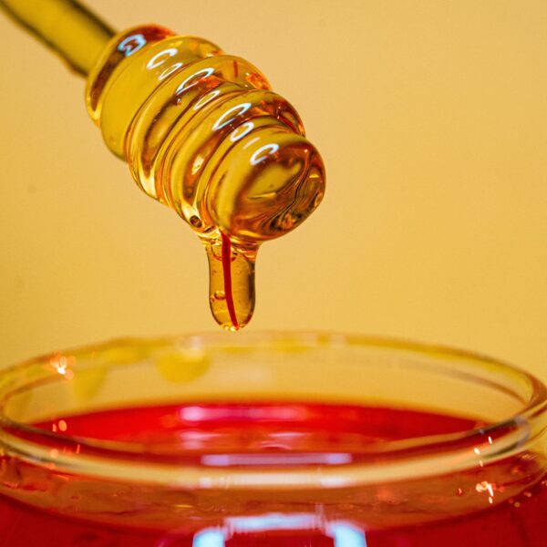 Nutriplus Monofloral Honey
